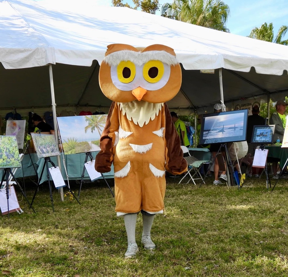 Athene the Burrowing Owl