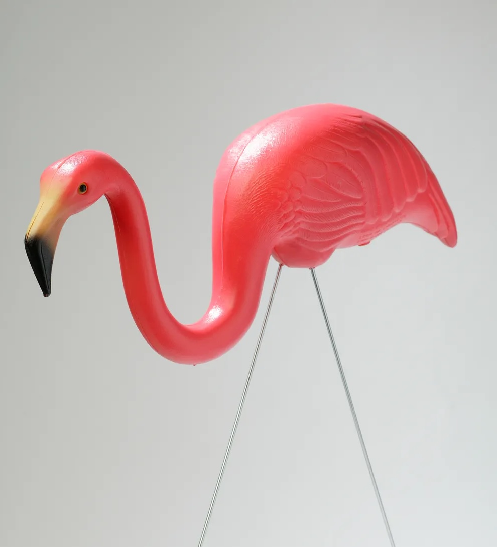 Featherstone the Flamingo