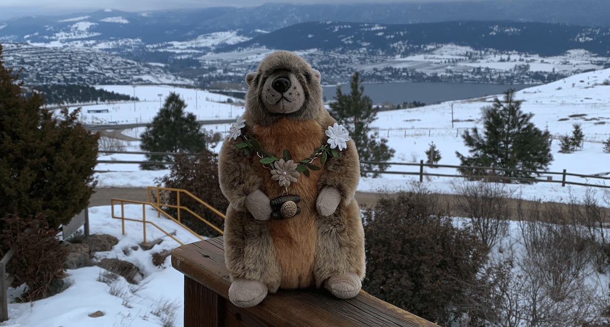 Okanagan Okie from Vernon, British Columbia — GROUNDHOG DAY