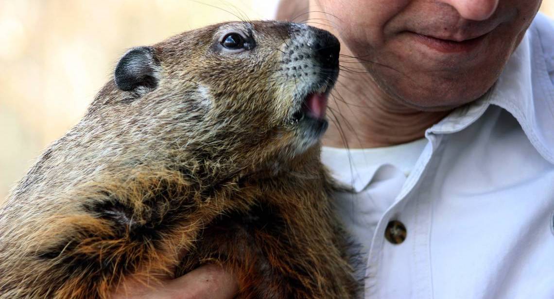 north carolina groundhog day 2025