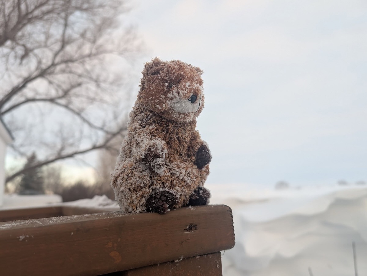 Portage la Prairie Larry