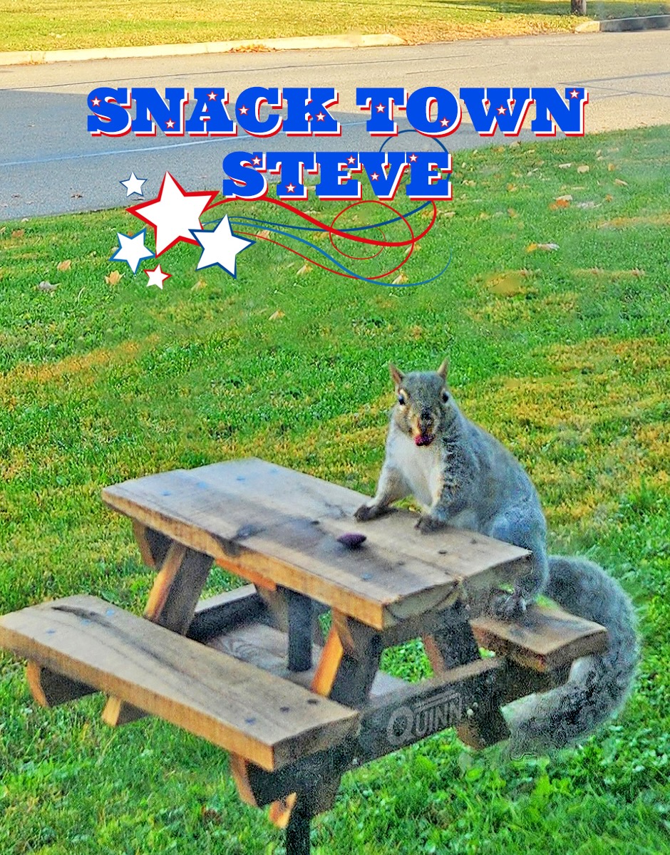 Snack Town Steve